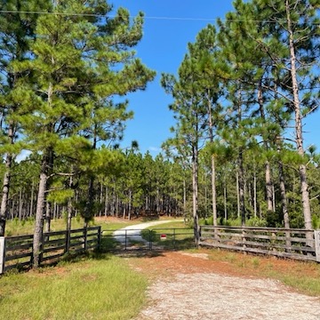 295.61+/- acres developed as recreation/hunting preserve. 2,400+/- sq. ft. barn inclusive of a 1,000+/- sq. ft. hunt cabin, see marketing brochure. Deer, Turkeys, Dove, Ducks, & Bear. a hunters paradise, with 5 elevated hunt blinds, 3 food plots. 1/2 mile on Black River. Agent is owner.